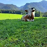 Brunbacher Wolfgangsee Chalet Saint Wolfgang