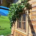 Brunbacher Wolfgangsee Chalet