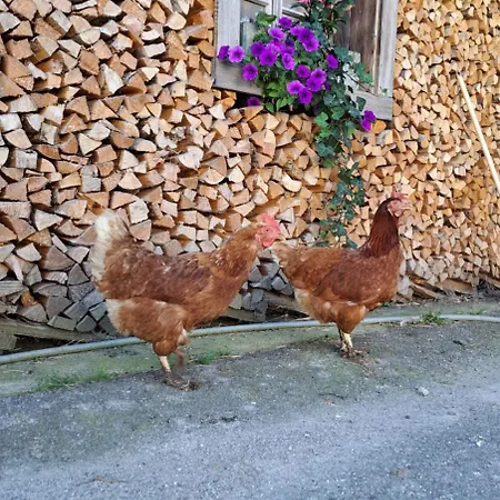 Brunbacher Wolfgangsee シャレー