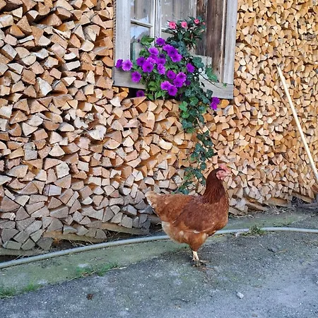 Brunbacher Wolfgangsee シャレー *