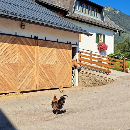 Ferienhütte Wolfgangsee Chalet Saint Wolfgang