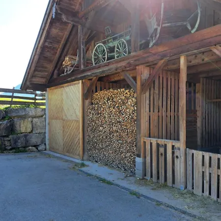 Brunbacher Wolfgangsee *