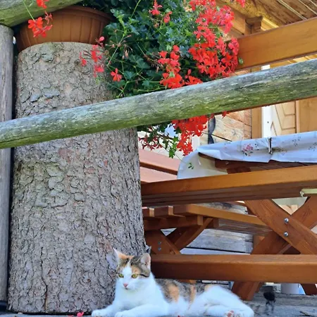 Ferienhütte Wolfgangsee Chalet