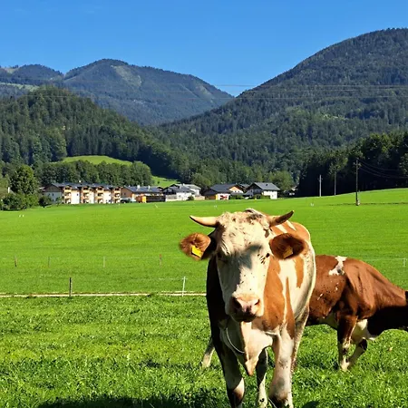 شاليه Brunbacher Wolfgangsee Saint Wolfgang