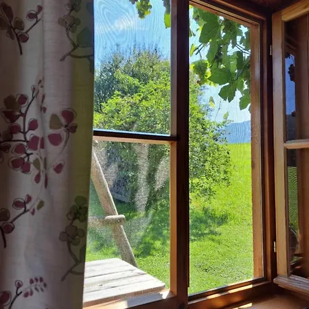 Brunbacher Wolfgangsee *