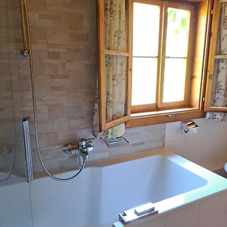 Brunbacher Wolfgangsee *