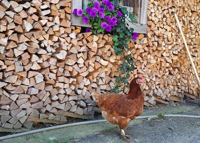 Brunbacher Wolfgangsee شاليه *