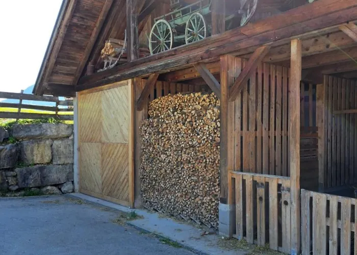 Brunbacher Wolfgangsee *