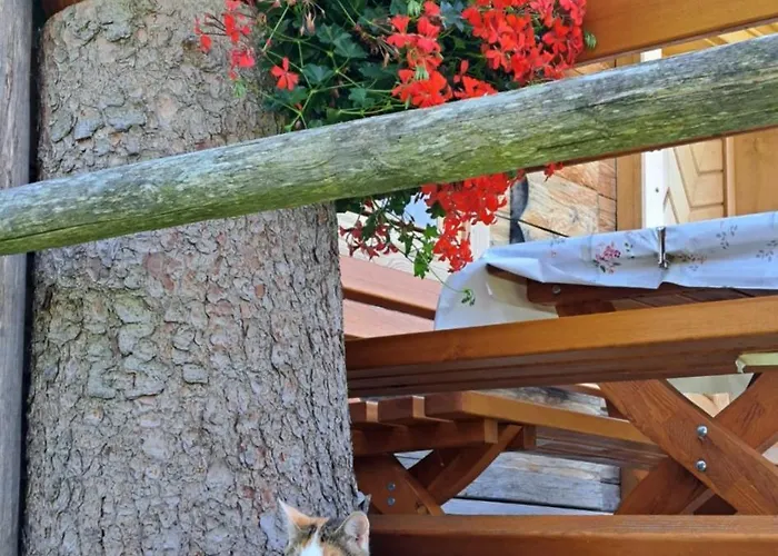 Brunbacher Wolfgangsee شاليه