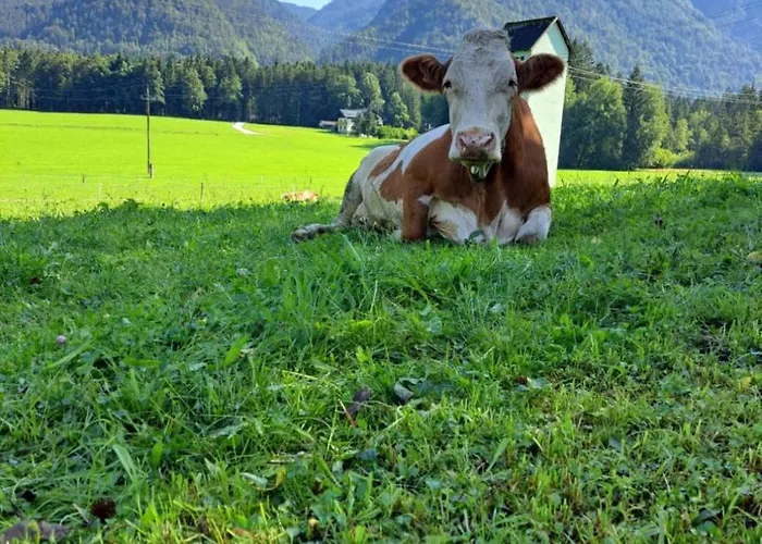 Brunbacher Wolfgangsee Chalet Saint Wolfgang