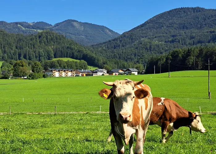 شاليه Brunbacher Wolfgangsee Saint Wolfgang