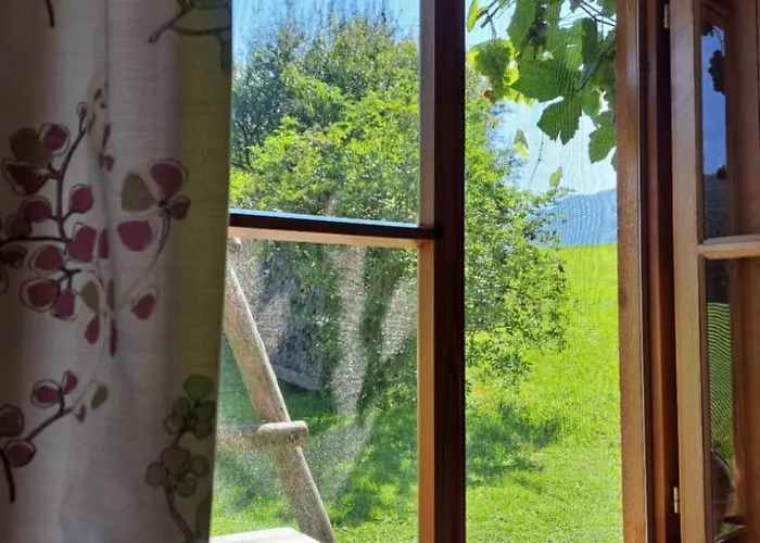 Brunbacher Wolfgangsee *