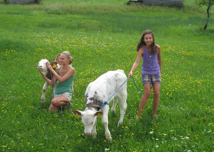 Brunbacher Wolfgangsee Chalet Saint Wolfgang