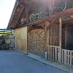 Brunbacher Wolfgangsee *