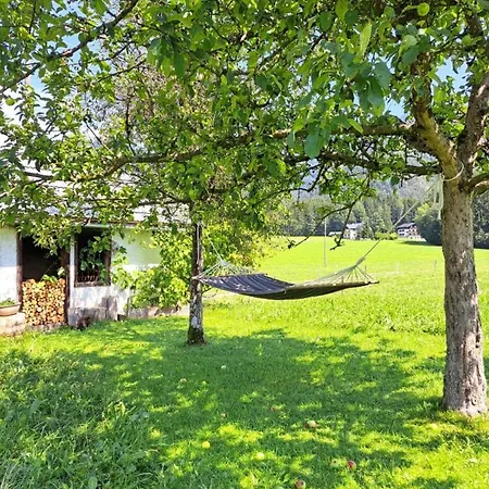 Brunbacher Wolfgangsee * Saint Wolfgang