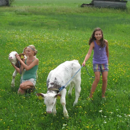 Brunbacher Wolfgangsee בקתה Saint Wolfgang