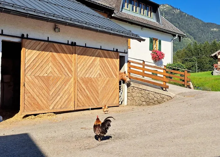 Brunbacher Wolfgangsee Alpstuga Saint Wolfgang