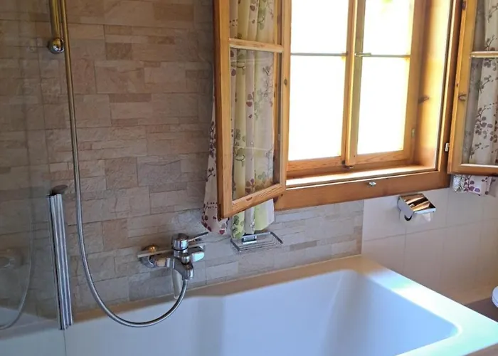 Brunbacher Wolfgangsee *